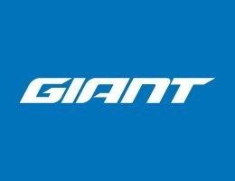 Rower Giant Anytour E+ 1 GTS POWER 2021
