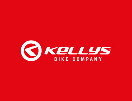 Rower Kellys Carson 50 M szary 2022